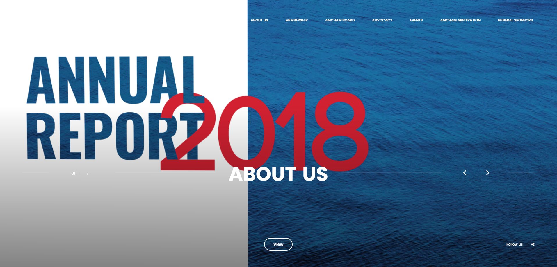 Annual Report 2018 website Image